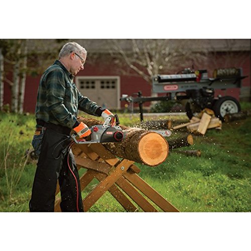 Oregon CS1500 18-inch 15 Amp Self-Sharpening Corded Electric Chainsaw, with Integrated Self-Sharpening System (PowerSharp), 2-Year Warranty, 120V, Grey, Black