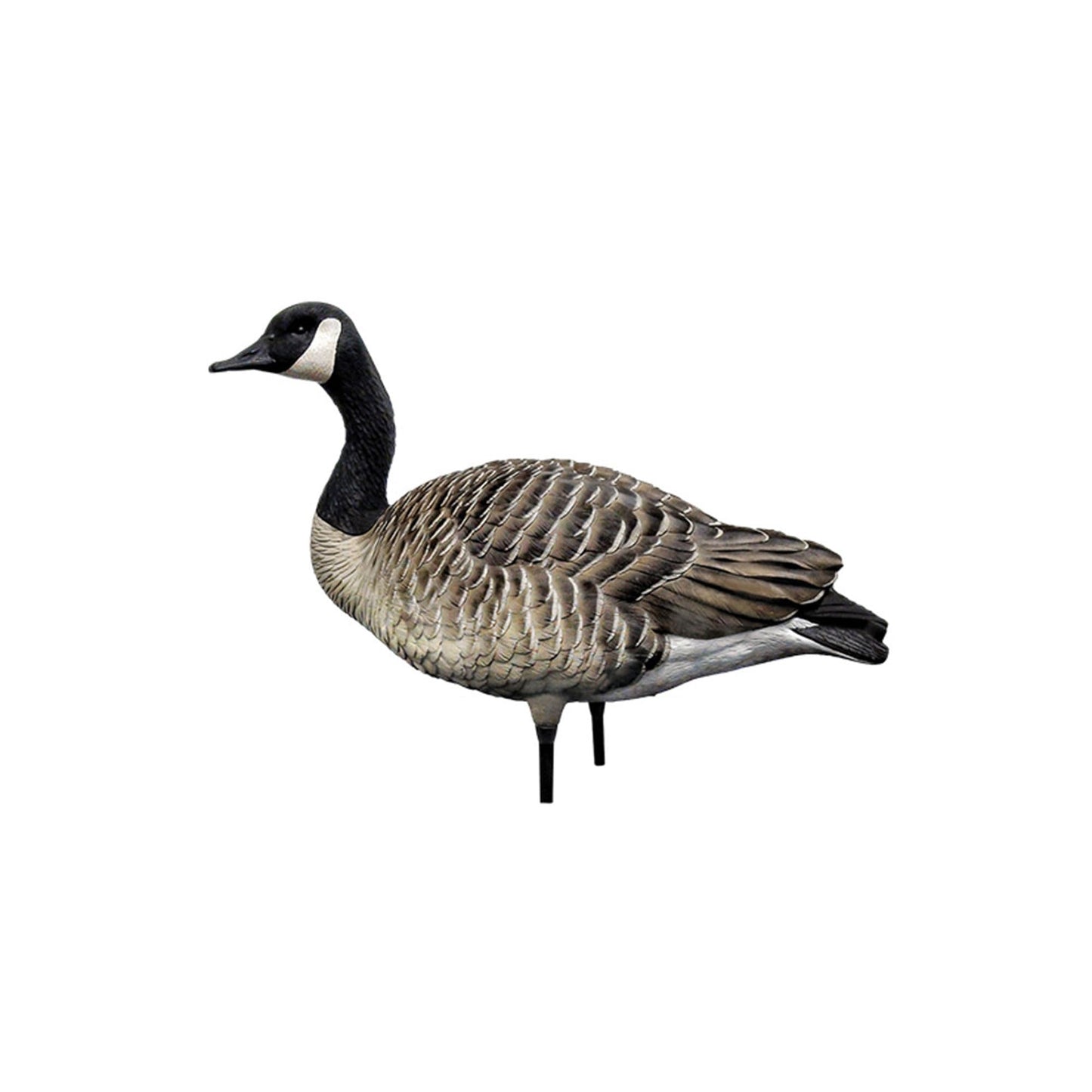 Avian X AXP Honkers Fusion Pack Full Body Canada Goose Decoys with Ultra Realistic Paint, Flocked Heads