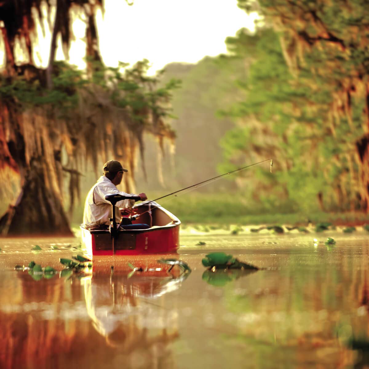 Minn Kota 1352272M Endura 40 lb. Thrust, 36" Shaft, Battery Meter