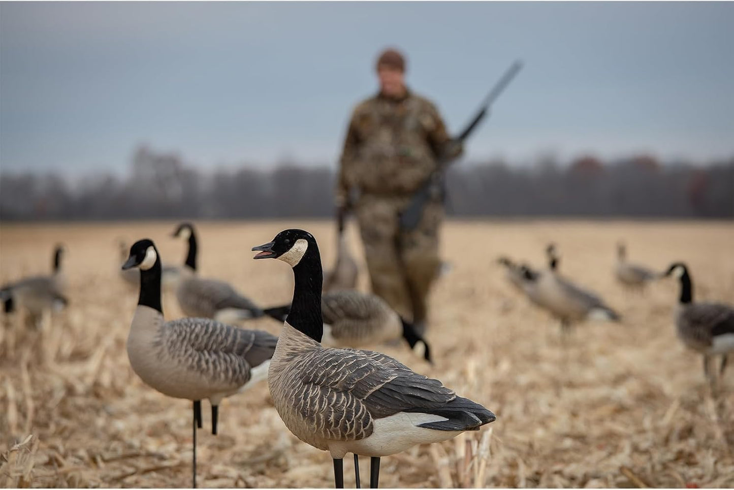 Avian X AXP Lessers Outfitter Pack, 12 Full Body Canada Goose Decoys, Oversized, Flocked Heads, 12 Stakes, Incudes 12-Slot Bag
