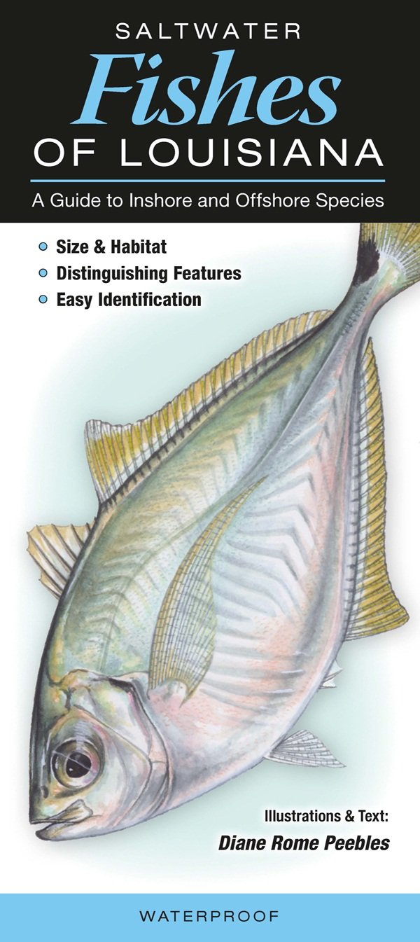 Saltwater Fishes of Louisiana: A Guide to Inshore & Offshore Species