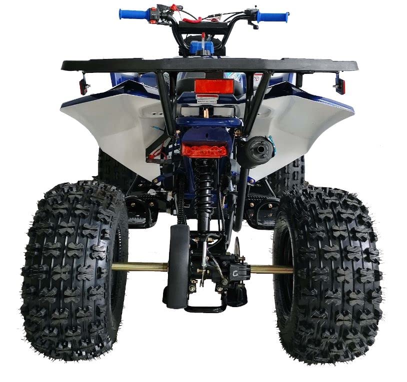 HHH ATV 125cc Vitacci ATV Quad Youth Utility Style ATV 125cc ATV Fully Automatic with Reverse Gas ATV 4 Wheeler ATVs Quads Big 19/18 inch Tires (Orange)