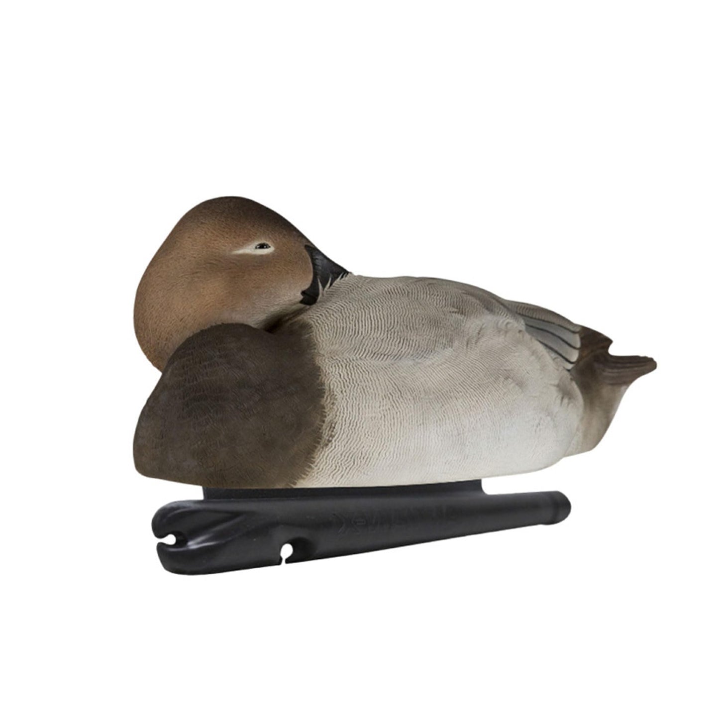 Avian X Topflight Canvasbacks Decoys Replicated Real Duck Bird Pack, Weight Forward Swim Keel Realistic Movement Design