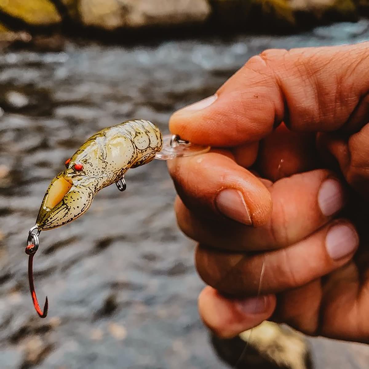 Rebel Lures Pop-R Topwater Popper Fishing Lure