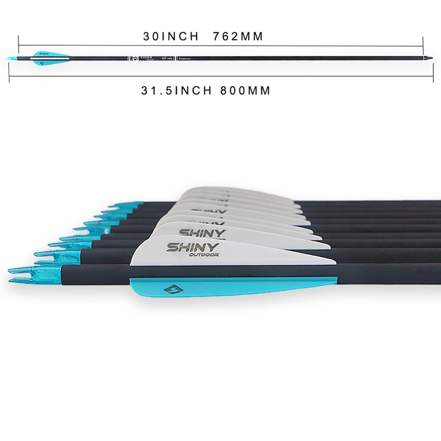30Inch Carbon Arrow Practice Hunting Arrows with Removable Tips for Compound & Recurve Bow(Pack of 12)