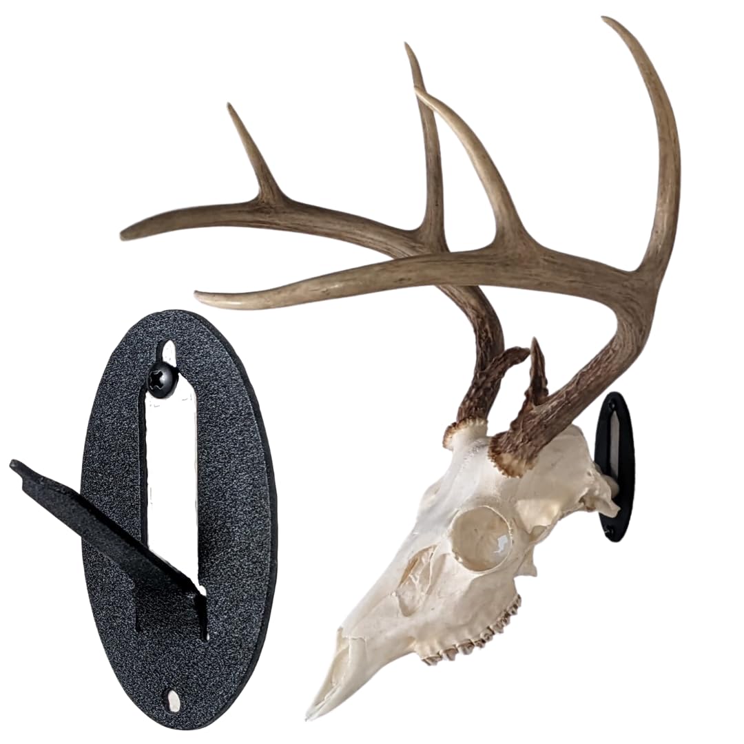 Easy European Mount Skull Hanger - Made in The USA with American Steel - Whitetail Deer Skull Hook mounting System - Euro Mount kit - Quick Install - Hog Bear Antelope Coyote