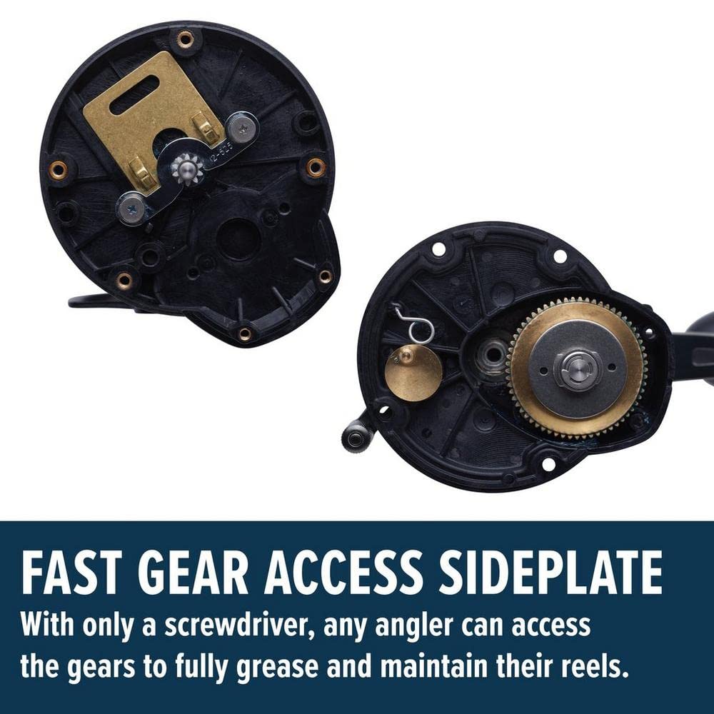 PENN Squall II Level Wind Conventional Fishing Reel