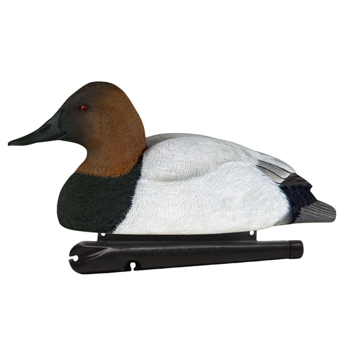Avian X Topflight Canvasbacks Decoys Replicated Real Duck Bird Pack, Weight Forward Swim Keel Realistic Movement Design