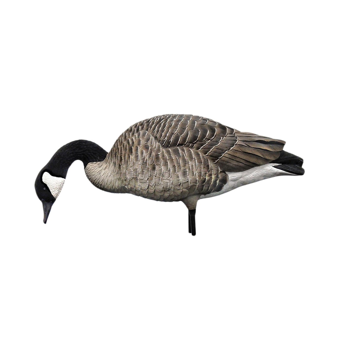 Avian X AXP Honkers Fusion Pack Full Body Canada Goose Decoys with Ultra Realistic Paint, Flocked Heads