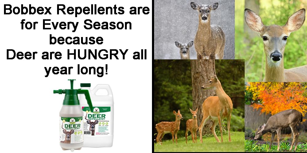 Concentrated Deer Repellent - Bobbex | Deer, Elk, and Moose Deterrent Concentrate (2.5 gal.) YF-43QX-BOCA