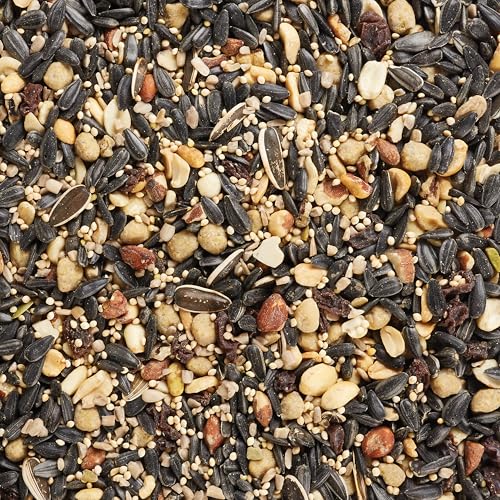 Kaytee Wild Bird Food, Summer Nesting Seed Blend, 8 lb