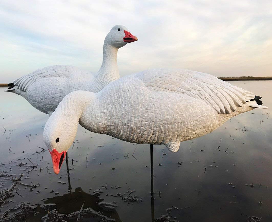 White Rock EVAC Fullbody Snow/Blue Goose Decoy Combo - 12 Pack
