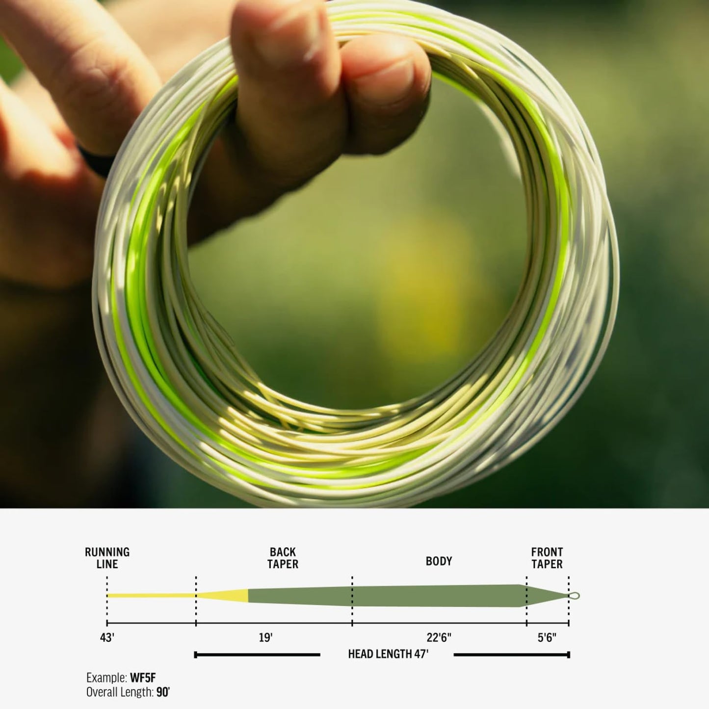 Rio Premier Gold Fly Line, Easy to Cast Flies from Size 2 to 22, Ultimate All-Around Fly Line with Ultra-Slick Performance, Moss/Gold, 90ft, WF5F