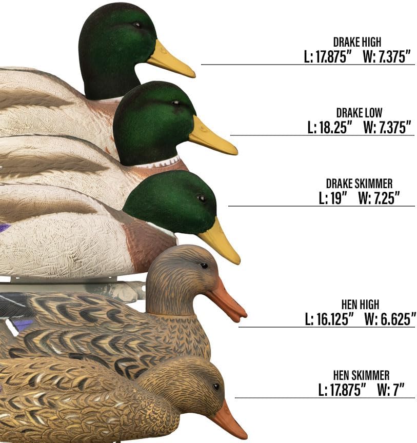 Higdon Outdoors Magnum Mallard Duck Decoys, Flocked Heads
