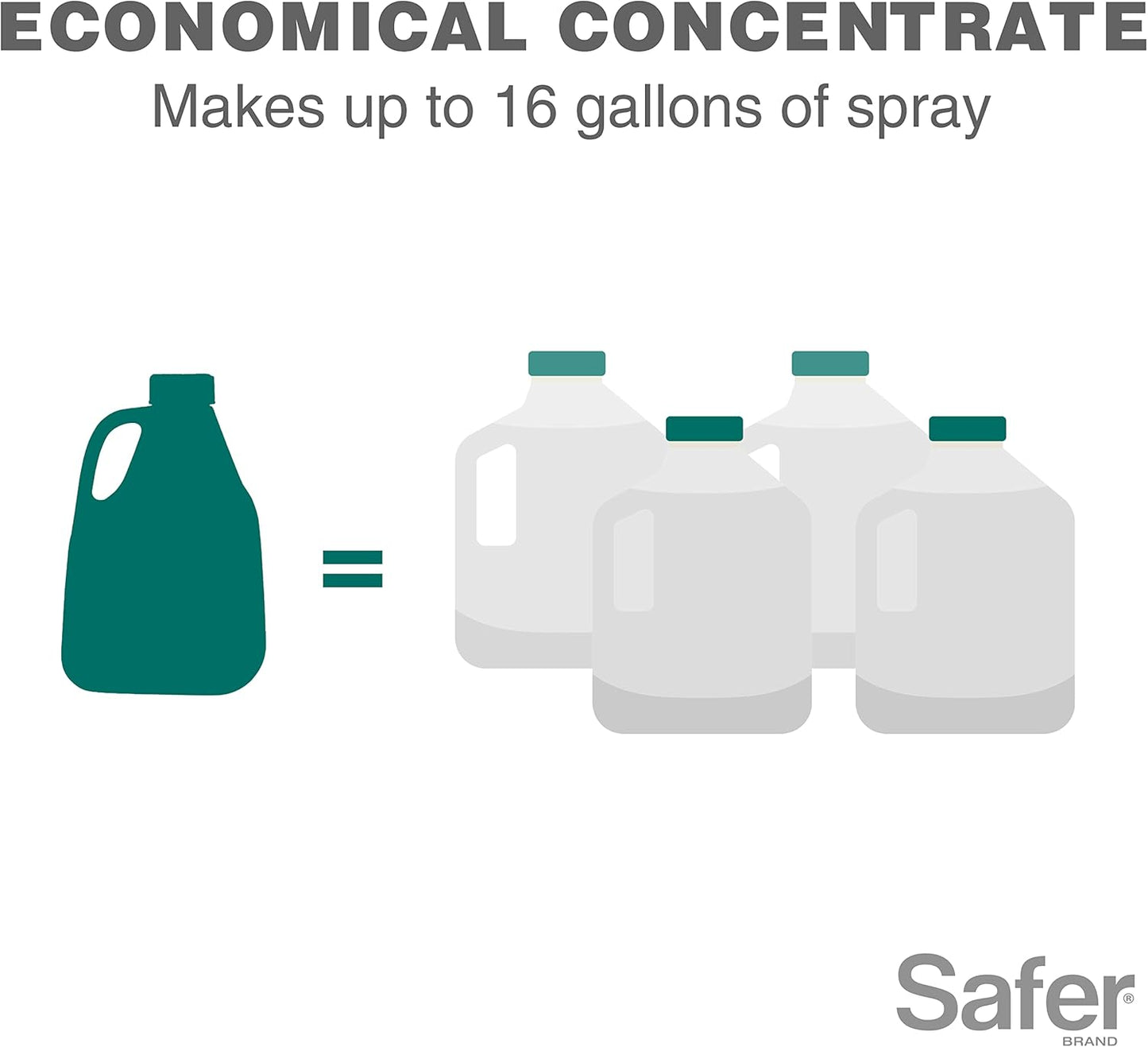 Safer Brand 5182-6 Neem Oil Concentrate Insecticide, Miticide, Fungicide for Plants - Kills Insects and Mites and Controls Fungal Disease - OMRI Listed for Organic Use - 6 Pack