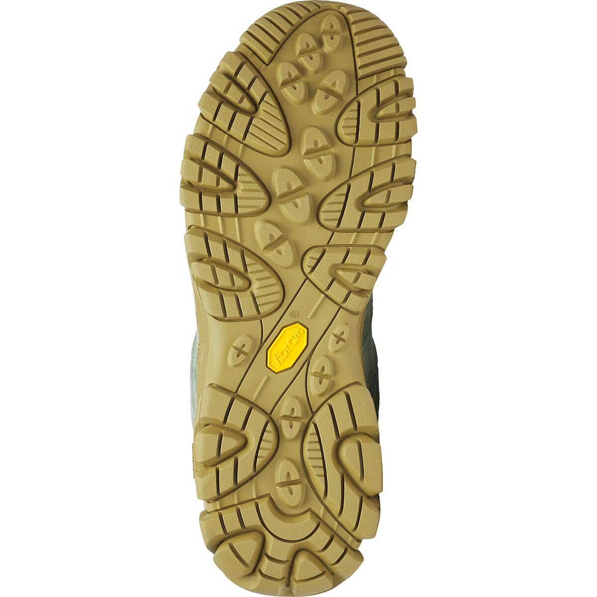 Merrell Men's Moab 3 Hiking Shoe