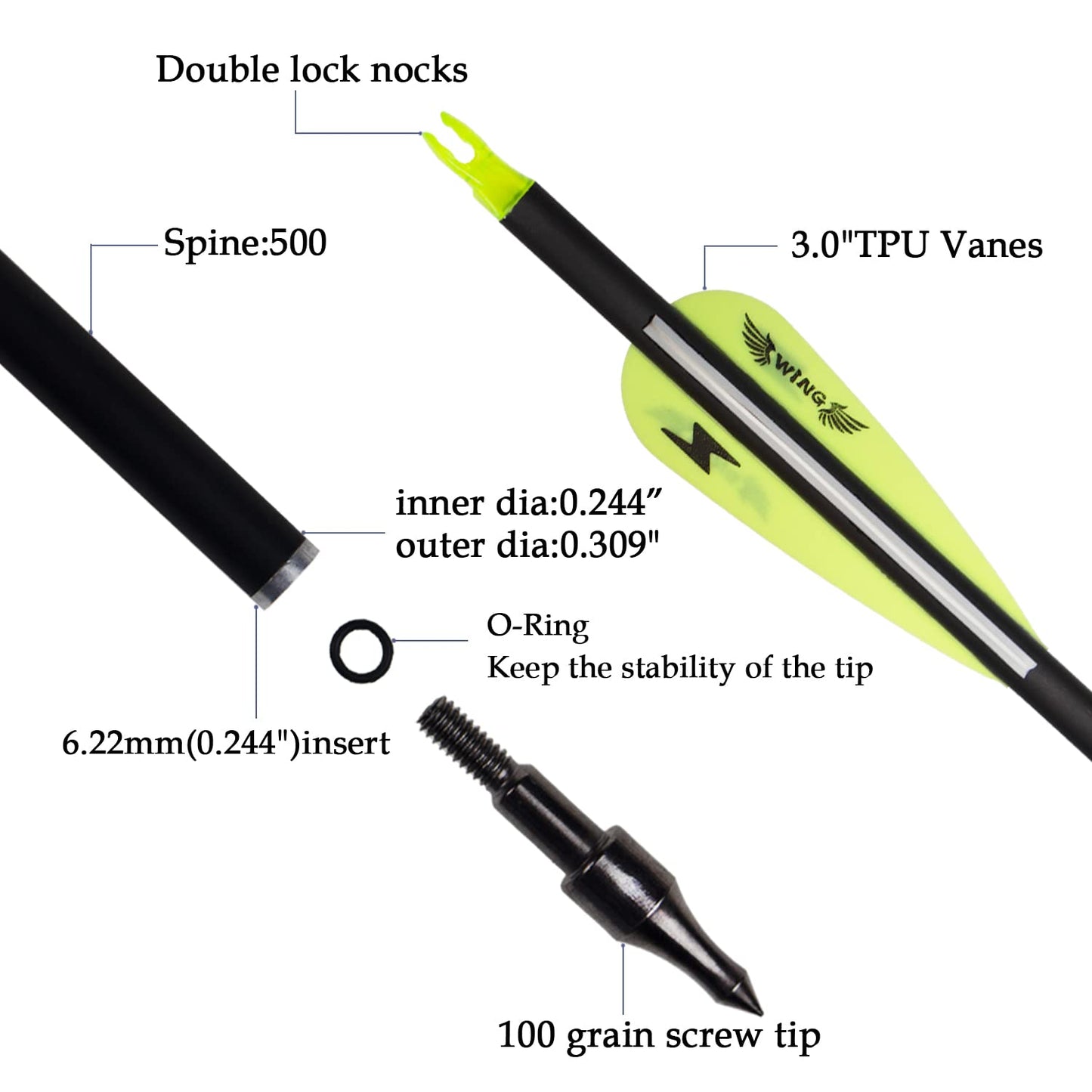 31inch Carbon Arrow Archery Targeting Practice Hunting Arrows for Compound & Recurve Bow with Removable Tips(Pack of 12)
