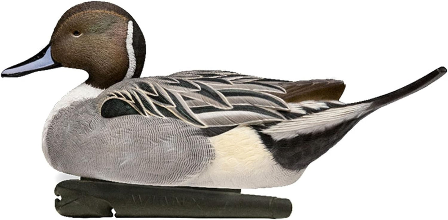 Avian X Topflight Wigeons Decoys with Topflight Pintails and Gadwall Decoys, Realistic Floating Decoys, 6 Pack Each, Multicolor