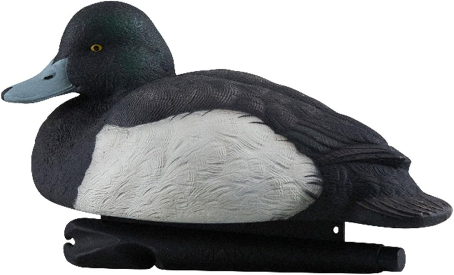 Avian-X Topflight Blue Bills Duck Decoys with Weight Forward Swim Keel Bundled with Topflight Canvasbacks Decoys, Realistic Gray Ducks