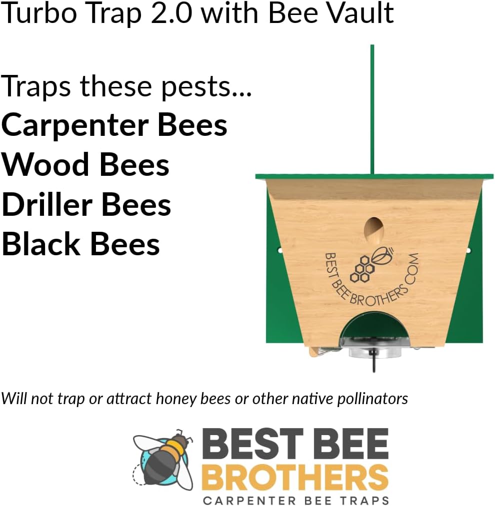 Best Bee Brothers Turbo Trap 2.0, Professional-Grade Carpenter Bee Trap for Outside with Bee Vault, Large Viewport & Spring-Loaded Door, 4.1” W x 4.8” H x 5.9” D (2 Pack)