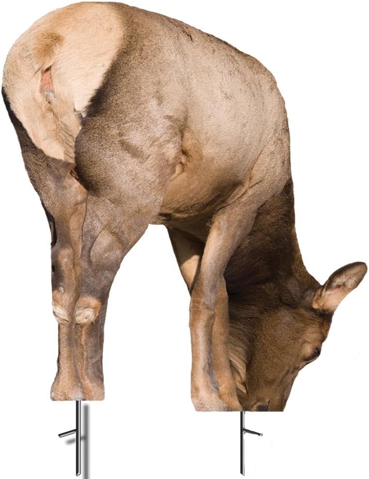 Montana Decoy Miss September Feeding Elk