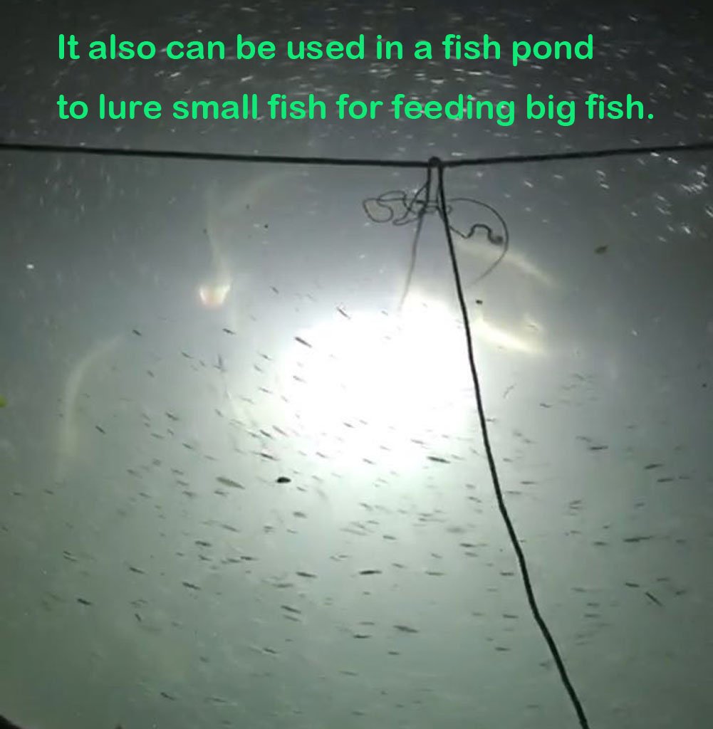 SAMDO IP68 12V LED Underwater Fishing Light 1080 Lumens Fish Attracting Light, Night Fishing Light 10.8W