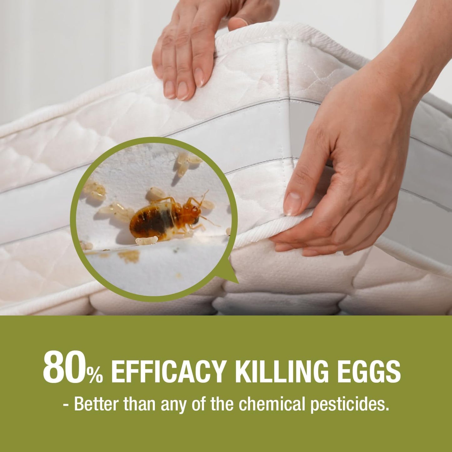 Bed Bug Killer 16 oz EcoVenger by EcoRaider, 100% Kill Efficacy, Bedbugs & Mites, Kills Eggs & The Resistant, Lasting Protection, USDA BIO-Certified, Plant Extract Based & Non-Toxic, Child & Pet Safe