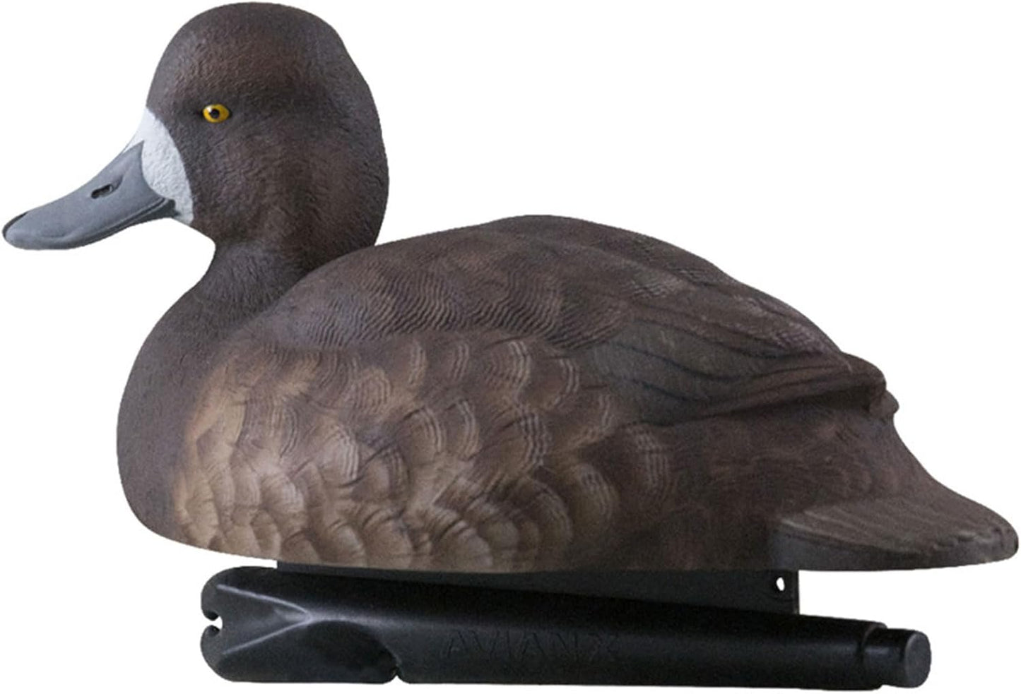 Avian-X Topflight Blue Bills Duck Decoys with Weight Forward Swim Keel Bundled with Topflight Canvasbacks Decoys, Realistic Gray Ducks
