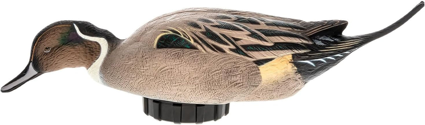 Avian-X Power Shaker Pintail Surface Feeder Floating Duck Decoy - Durable Foam-Filled Realistic Lifelike Waterfowl Hunting Motion Decoy