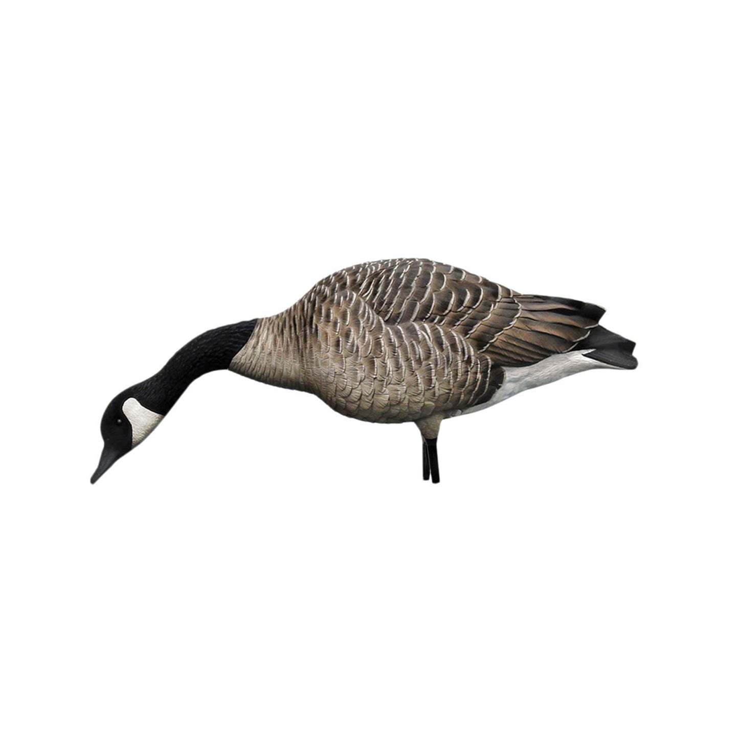 Avian X AXP Honkers Fusion Pack Full Body Canada Goose Decoys with Ultra Realistic Paint, Flocked Heads