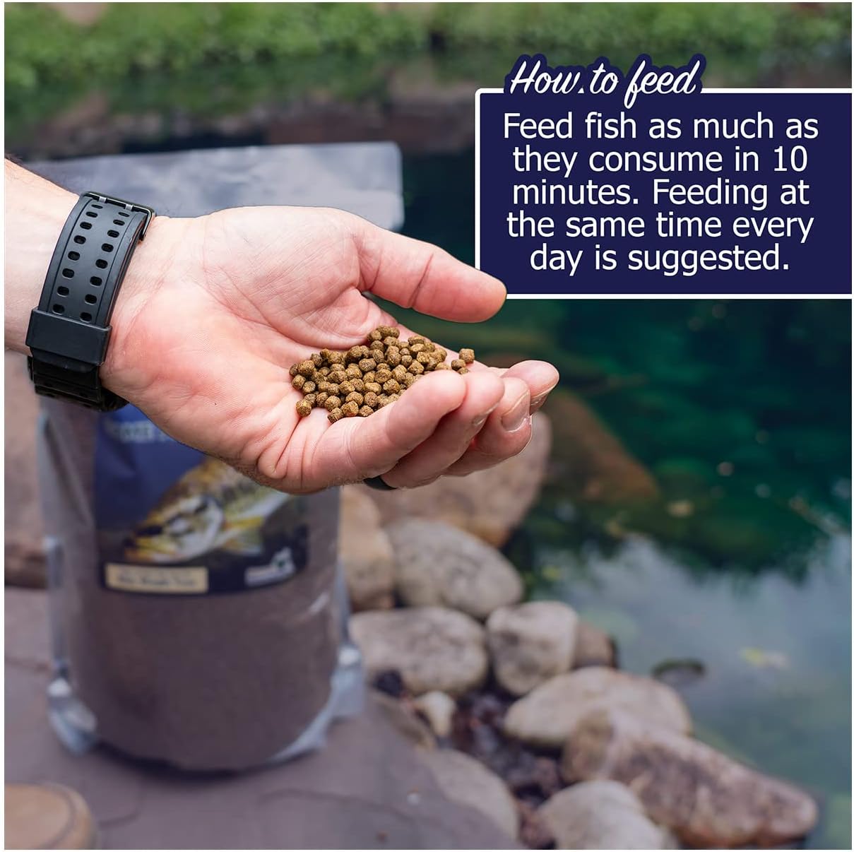Natural Waterscapes Game Fish Food Variety | Pond and Lake Fish Food Pellets | 22 lb Bag | Feed to Bass, Bluegill, Trout, Catfish, tilapia | Floating Pellets