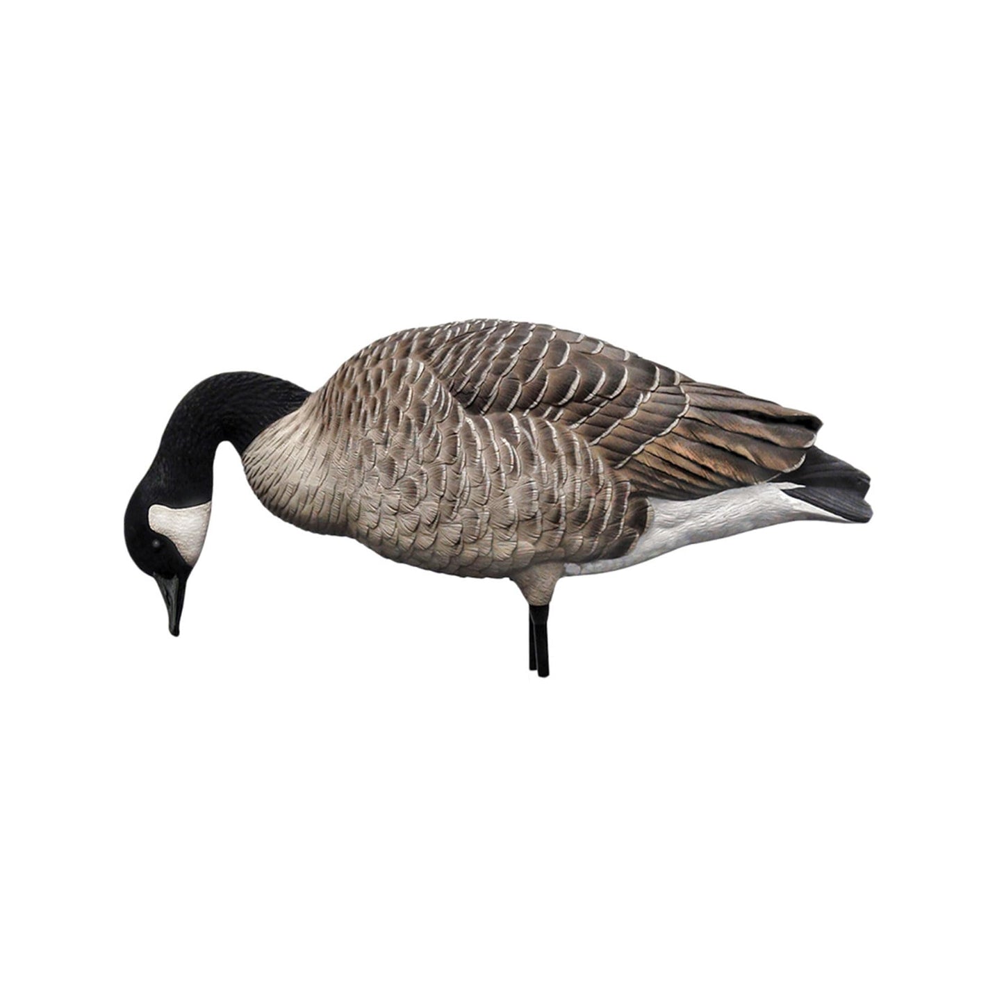 Avian X AXP Honkers Fusion Pack Full Body Canada Goose Decoys with Ultra Realistic Paint, Flocked Heads