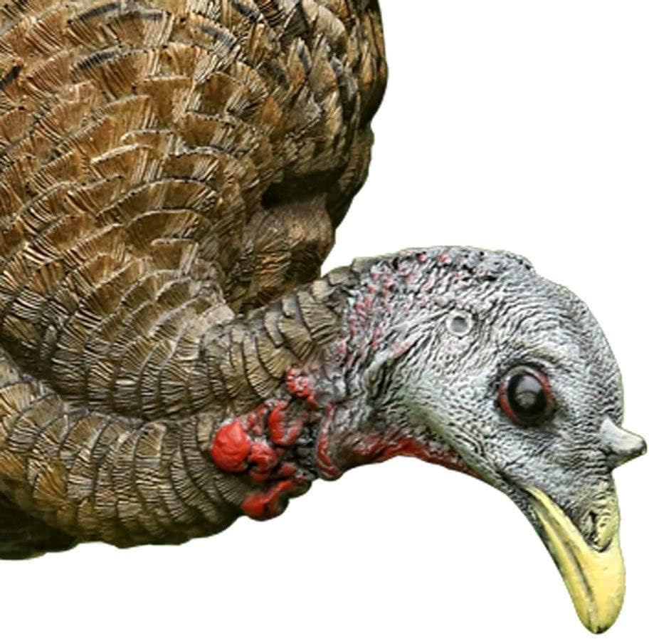 AVIAN-X LCD Feeder Hen Turkey Decoy | Durable Realistic Lifelike Collapsible Standing Hunting Decoy with Carry Bag & Stake, AVX8007