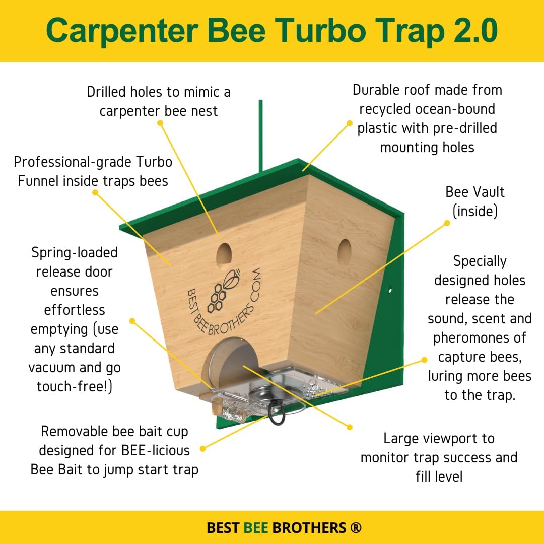 Best Bee Brothers Turbo Trap 2.0, Professional-Grade Carpenter Bee Trap for Outside with Bee Vault, Large Viewport & Spring-Loaded Door, 4.1” W x 4.8” H x 5.9” D (2 Pack)