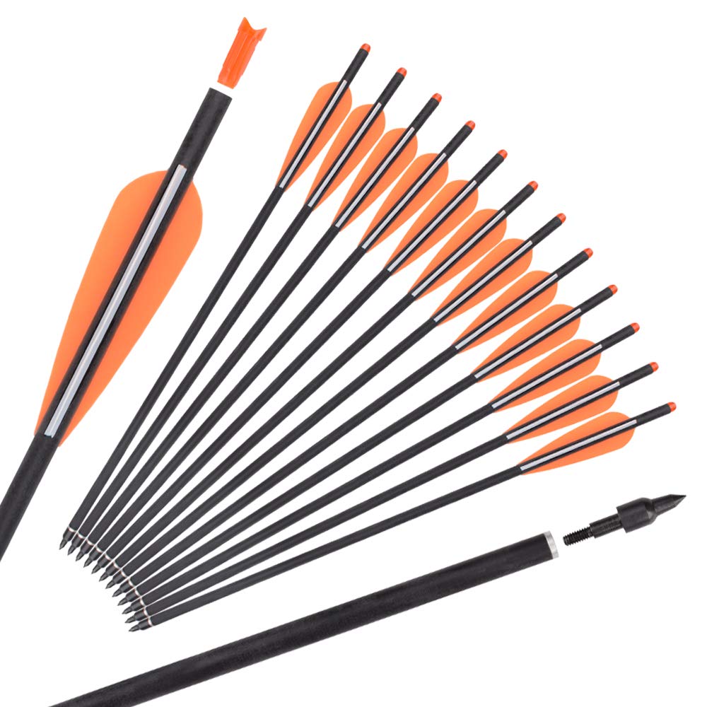 Carbon Crossbow Bolts 16 18 20 Inch Hunting Archery Arrows with 4" Vanes Replaced Arrowhead Tip (Pack of 12)