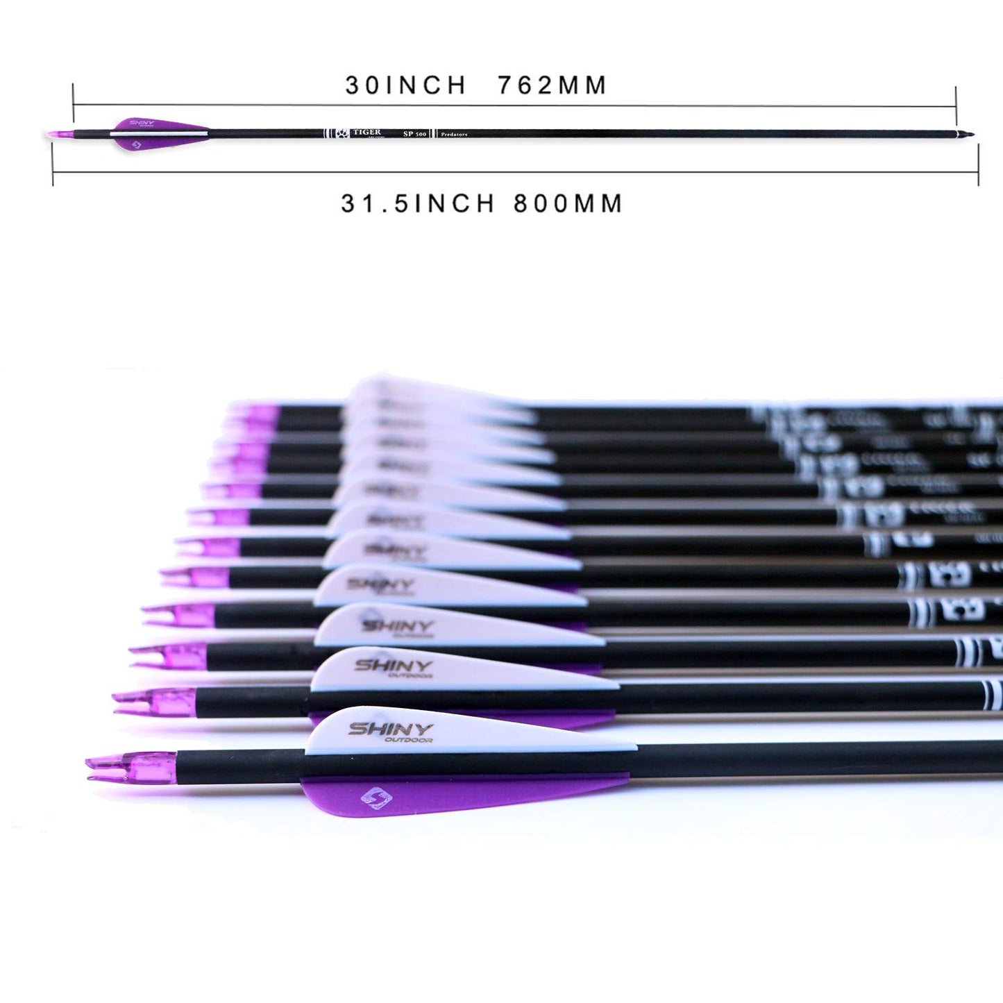 30Inch Carbon Arrow Practice Hunting Arrows with Removable Tips for Compound & Recurve Bow(Pack of 12)