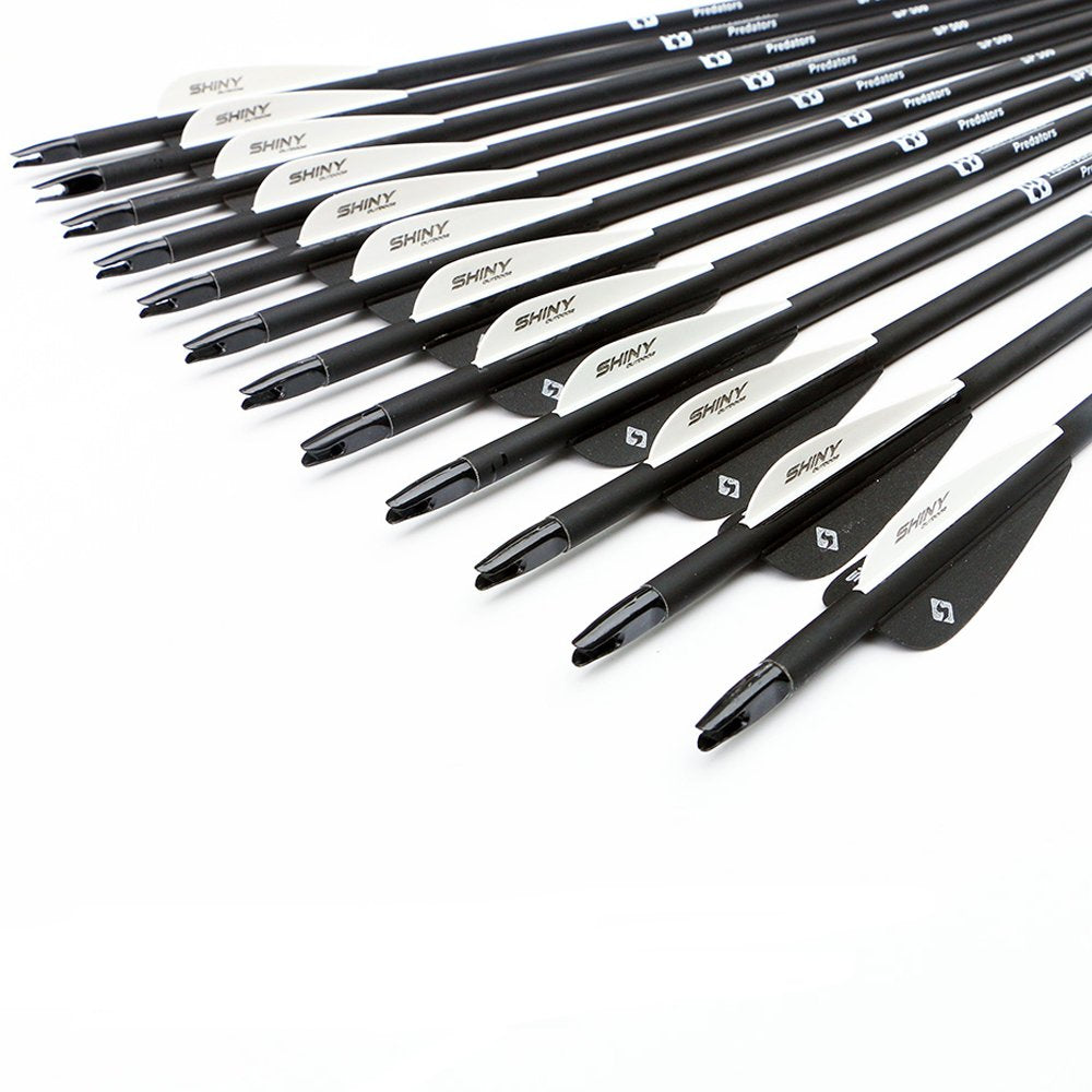 30Inch Carbon Arrow Practice Hunting Arrows with Removable Tips for Compound & Recurve Bow(Pack of 12)