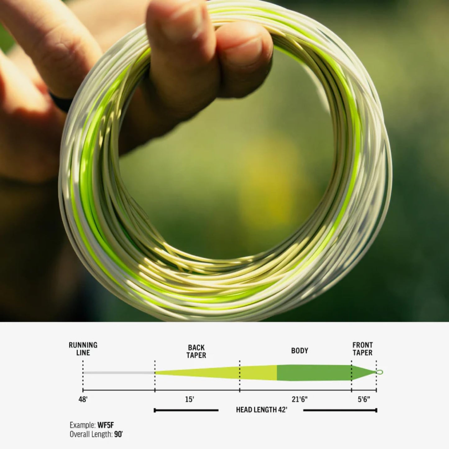 RIO PRODUCTS Elite Gold Fly Line, Easy to Cast Flies from Size 2 to 22, Ultimate All-Around Fly Line with Ultra-Slick Performance