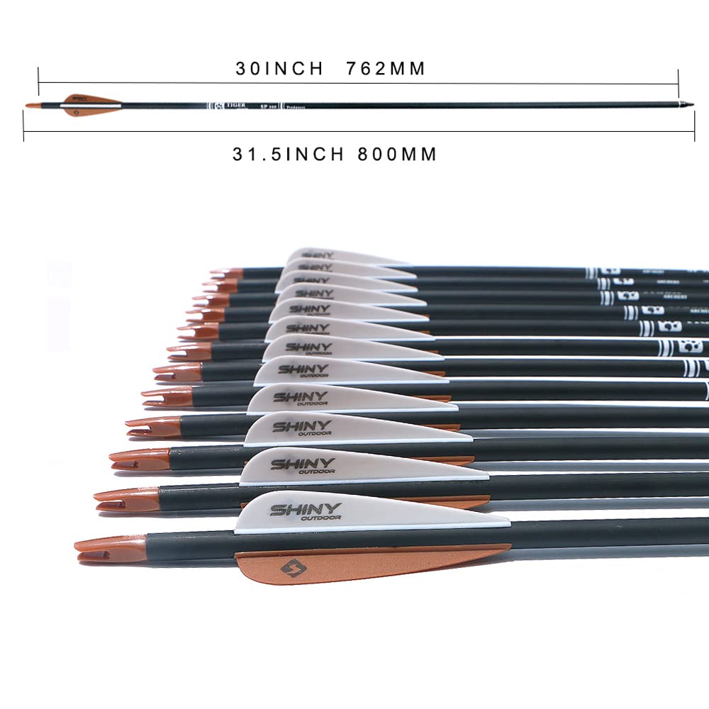 30Inch Carbon Arrow Practice Hunting Arrows with Removable Tips for Compound & Recurve Bow(Pack of 12)