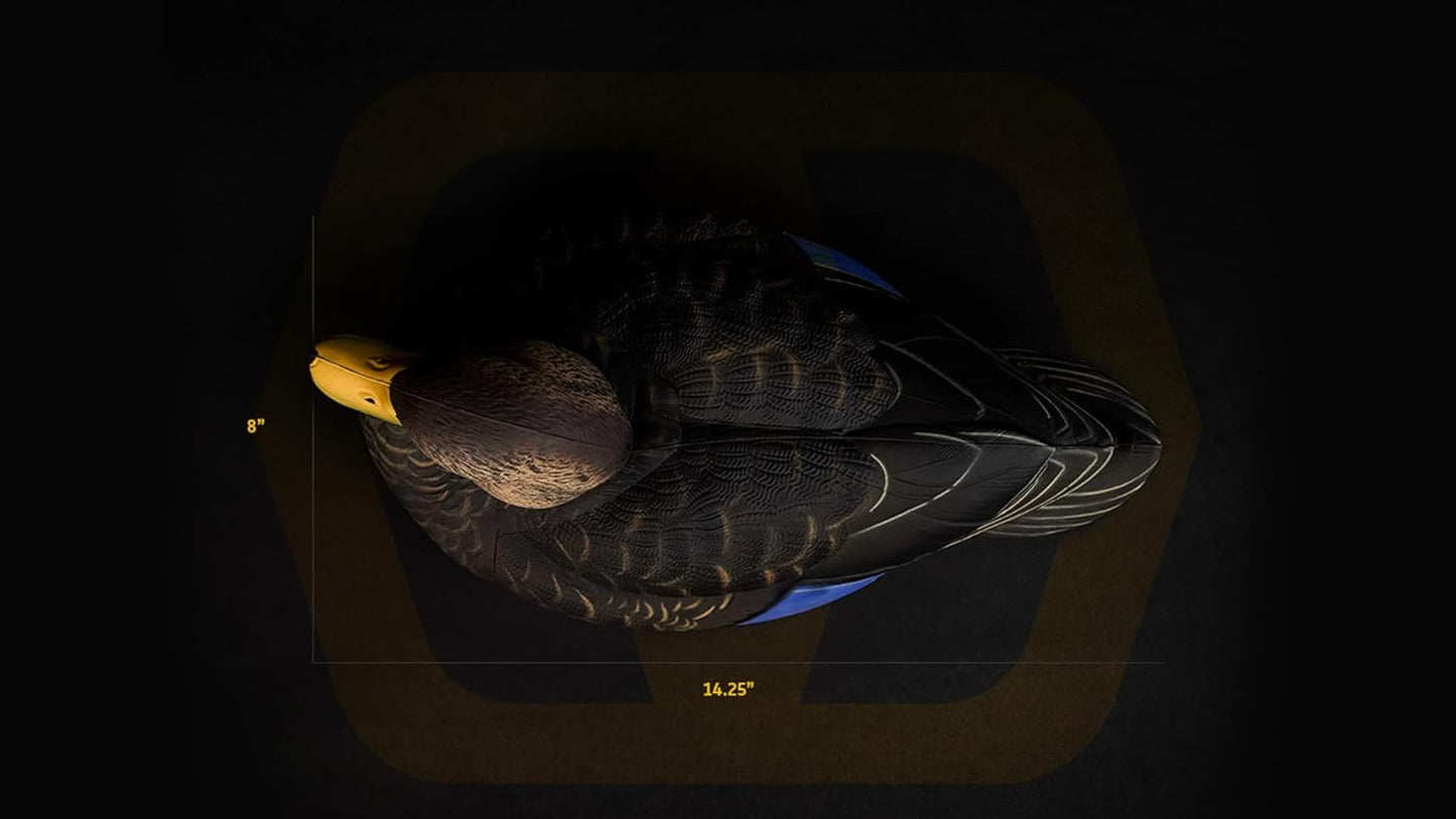 Heyday Ultralight HydroFoam Black Duck Decoys 100% HydroFoam 6 Pack Ultra Realistic Duck Hunting Decoys - Light as a Feather, Lasts Forever