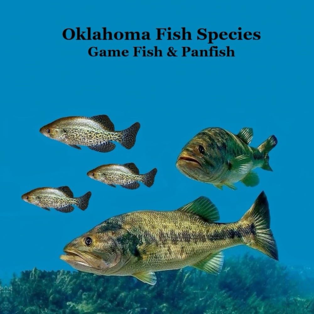 Oklahoma Game Fish and Panfish Species Kids Book: Great Book About the Different Types of Fish in Oklahoma