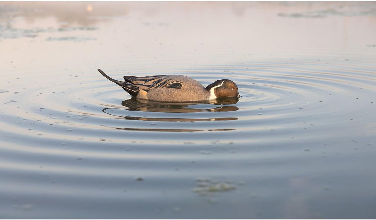 Avian-X Power Shaker Pintail Surface Feeder Floating Duck Decoy - Durable Foam-Filled Realistic Lifelike Waterfowl Hunting Motion Decoy