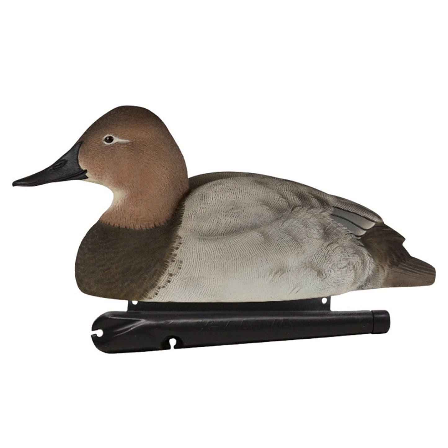 Avian X Topflight Canvasbacks Decoys Replicated Real Duck Bird Pack, Weight Forward Swim Keel Realistic Movement Design