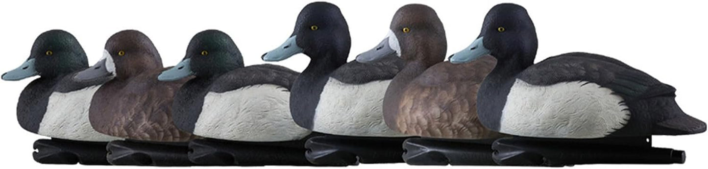 Avian-X Topflight Blue Bills Duck Decoys with Weight Forward Swim Keel Bundled with Topflight Canvasbacks Decoys, Realistic Gray Ducks