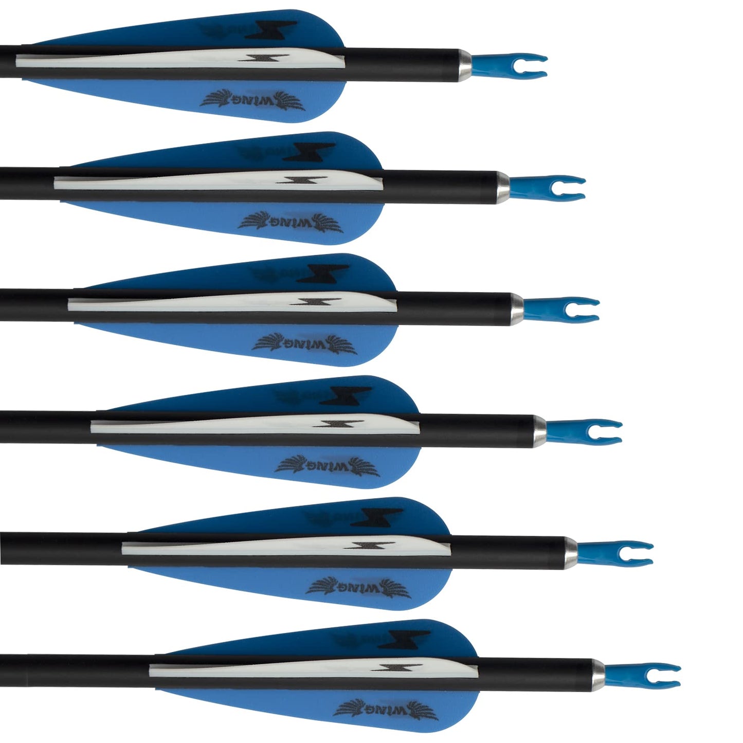 31inch Carbon Arrow Archery Targeting Practice Hunting Arrows for Compound & Recurve Bow with Removable Tips(Pack of 12)