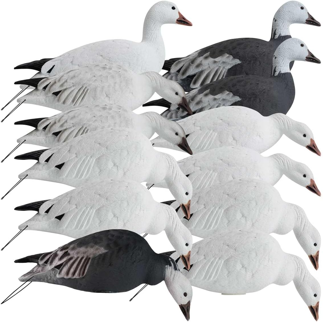 Hardcore Waterfowl Rugged Series Full Body Snow and Blue Goose Touchdown Decoys 12-Pack