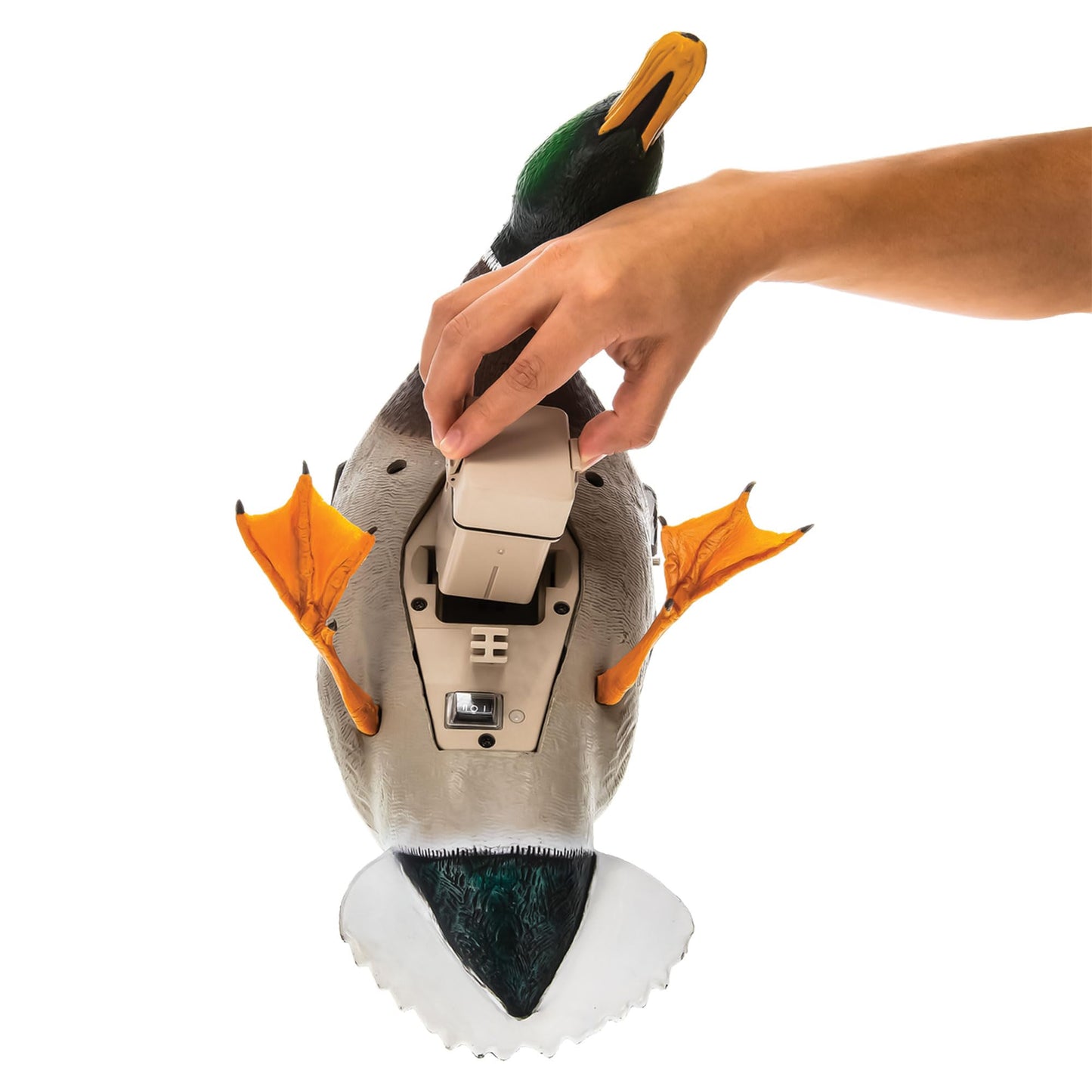 Avian X Powerflight Smart Motion Mallard Spinning Wing Realistic Design Duck Decoy, Ideal for Outdoor Hunting Adventures