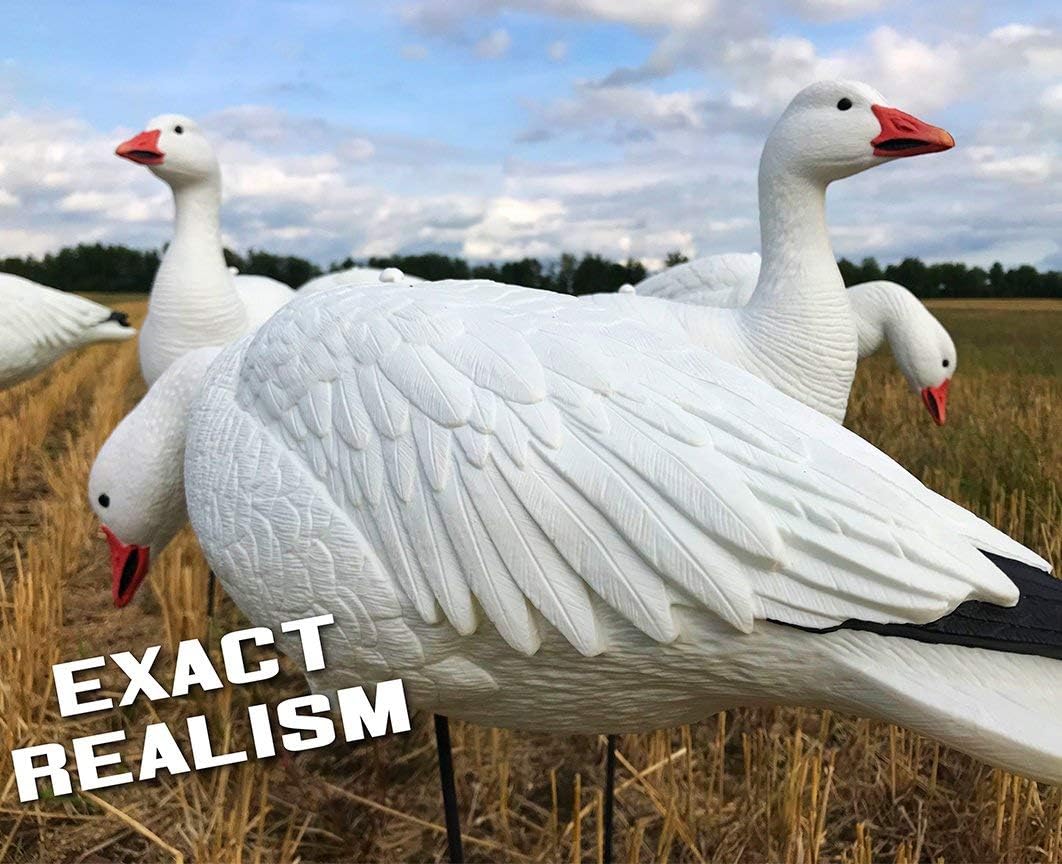 White Rock EVAC Fullbody Snow/Blue Goose Decoy Combo - 12 Pack