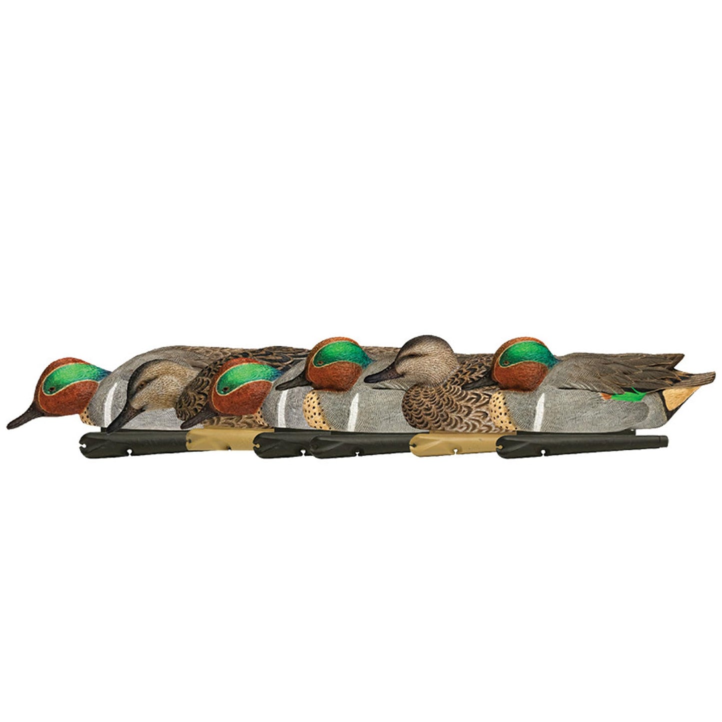 Avian X Topflight Green-Winged Teal Decoys, Realistic Floating Duck Decoys for Hunting, Weight-Forward Swim Keel