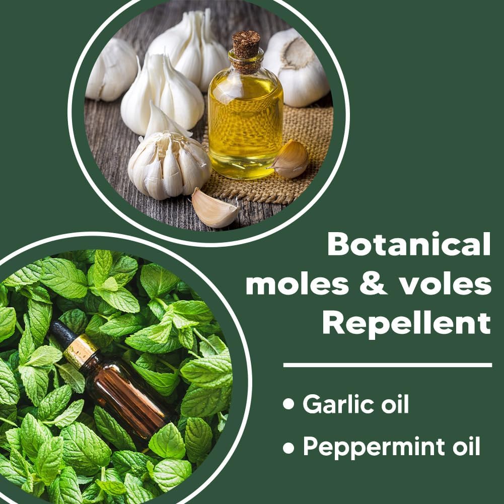 Mole Repellent Outdoor, Vole Repellent Outdoor, Get Rid of Ground Mole, Gopher Repellent, Mole Deterrent for Yard, Groundhog Repellent, Mole Control-8P